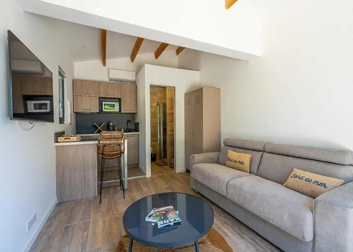 A C House With Pool & 3br 8p Gassin