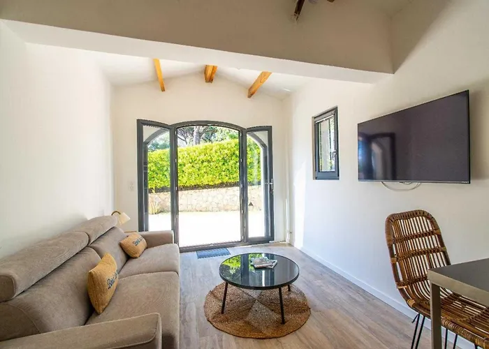 A C House With Pool & 3br 8p Gassin *